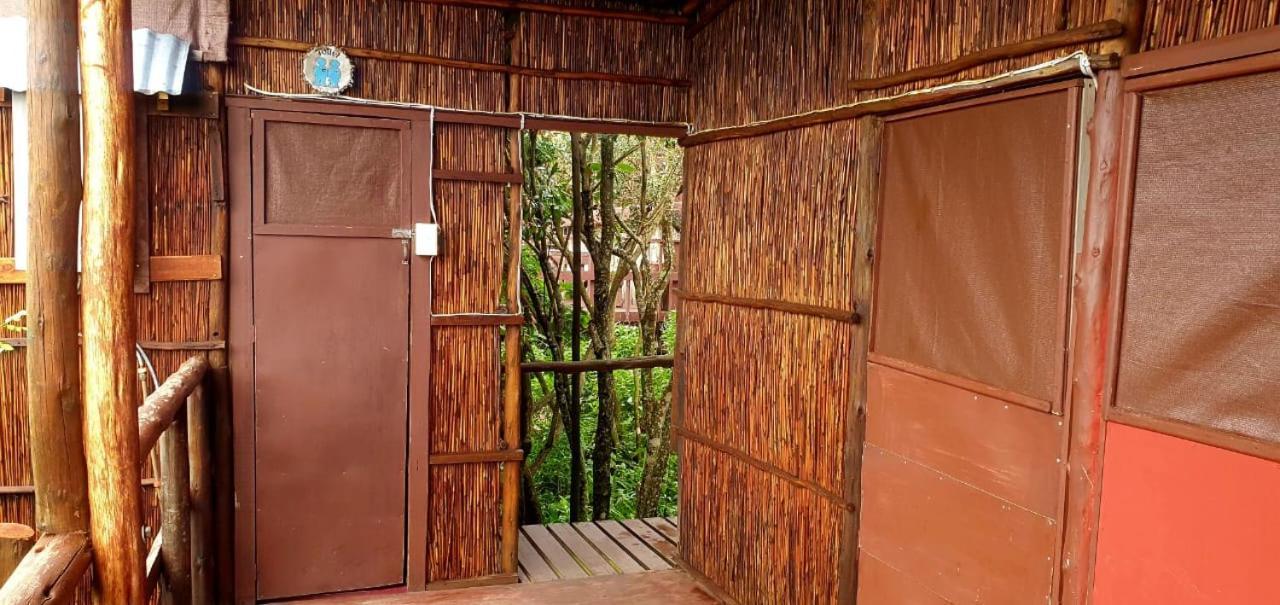 Mozbevok Coconut View Resort Понта-ду-Оуро Экстерьер фото